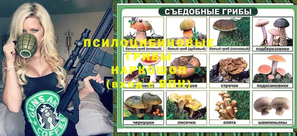 круглые Корсаков
