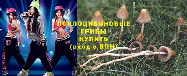 круглые Корсаков