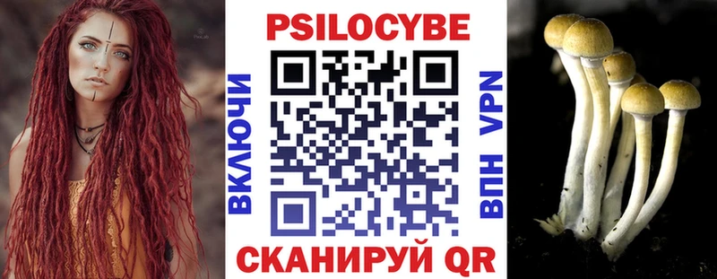 Купить где  Называевск  Галлюциногенные грибы GOLDEN TEACHER 
